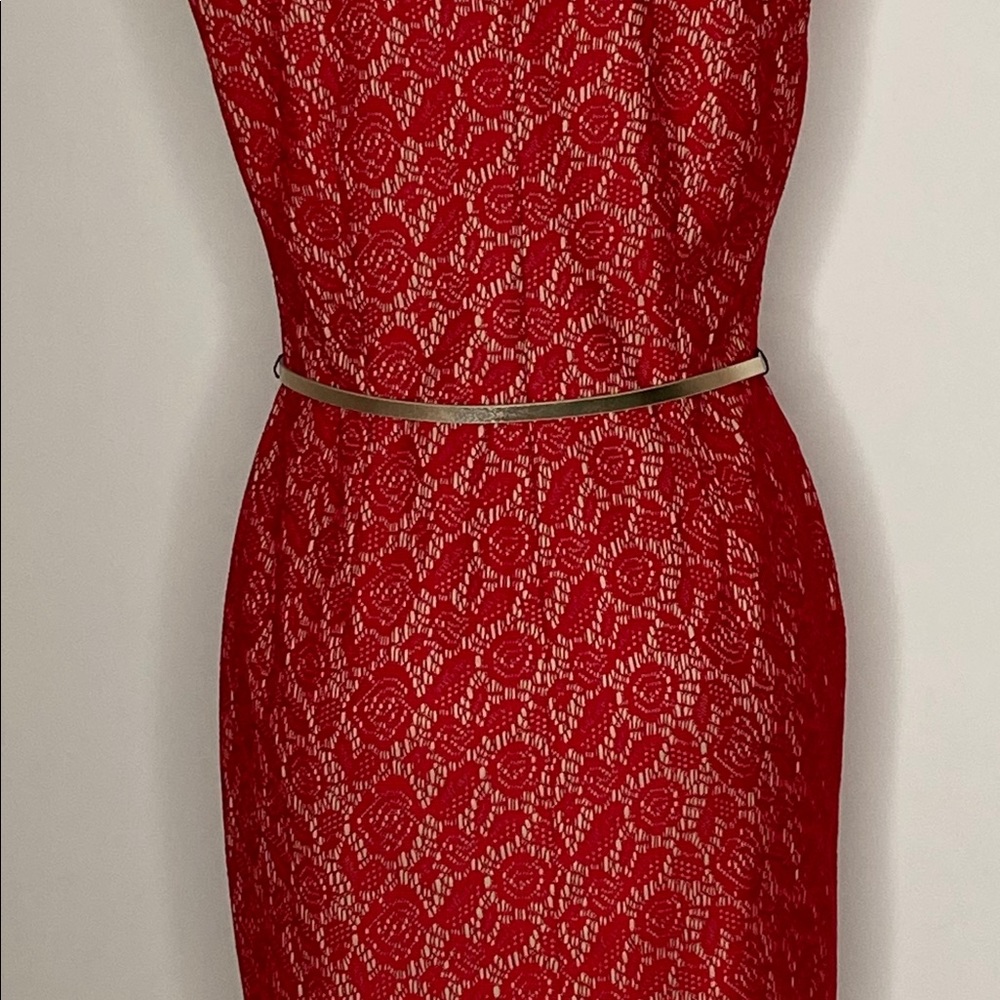 Cherry/Nude Floral dress with gold belt Size 8